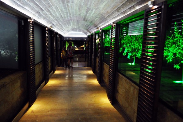 Opening of Oceanus sur O